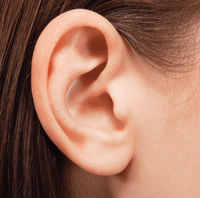 Women's Ears